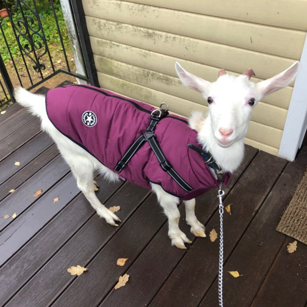 Waterproof Dog Clothes Winter Dog Coat With Harness Warm Pet Clothing Big Dog Jacket Chihuahua Labrador Coat Costume null