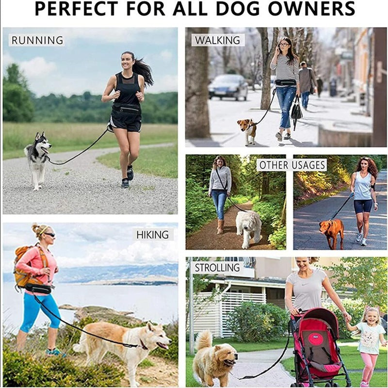 Hands Free Dog Leash Pet Walking And Training Belt With Shock Absorbing Bungee Leash For Up To 180lbs Large Dogs Phone Pocket And Water Bottle Holder null