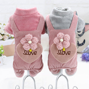 Teddy Bichon Pomeranian Chihuahua Plush Cotton Coat null