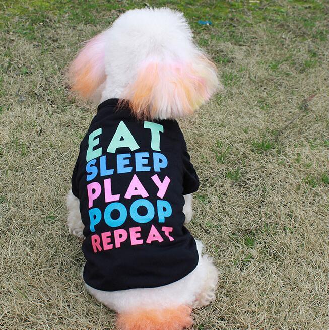 Teddy Bichon VIP Small and Medium Dog Clothes null