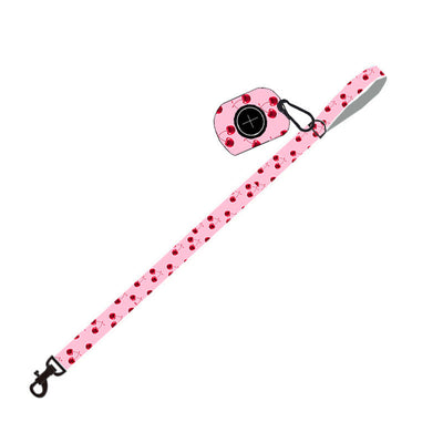 Pet Supplies Dog Leash Set Pet Leash null