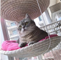 Cat Climbing Frame Cat Litter Cat Tree Cat Jumping Platform Cat Scratching Frame null