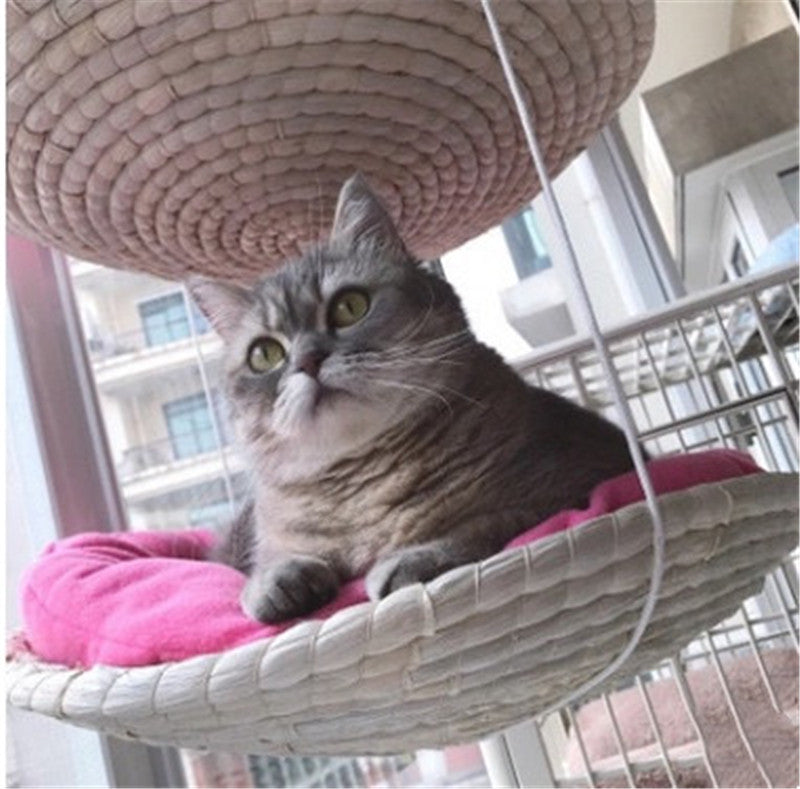 Cat Climbing Frame Cat Litter Cat Tree Cat Jumping Platform Cat Scratching Frame null