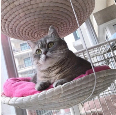 Cat Climbing Frame Cat Litter Cat Tree Cat Jumping Platform Cat Scratching Frame null