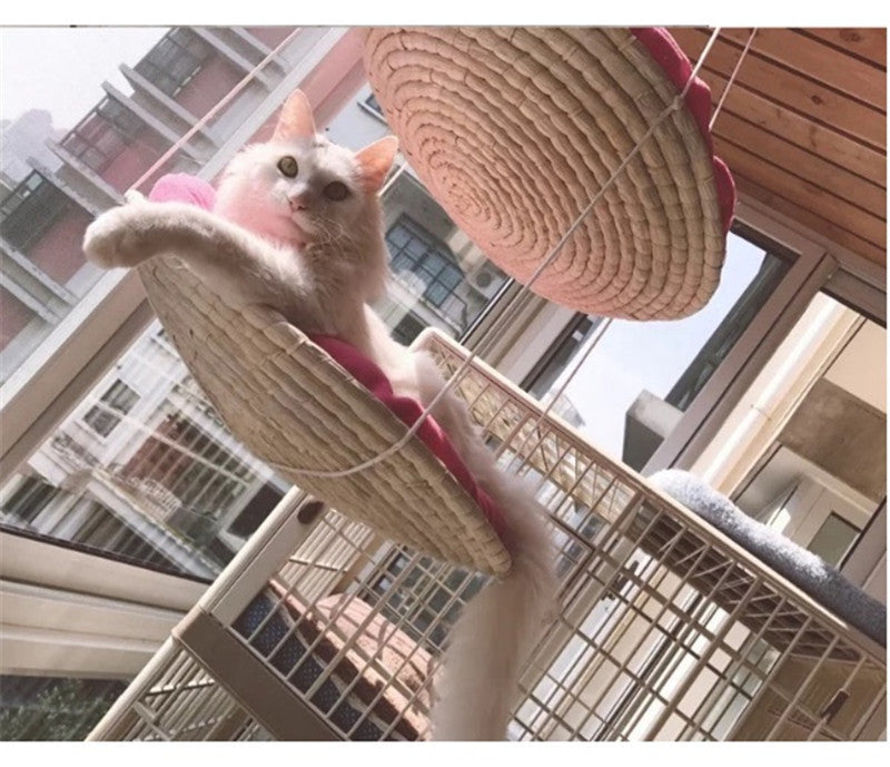 Cat Climbing Frame Cat Litter Cat Tree Cat Jumping Platform Cat Scratching Frame null