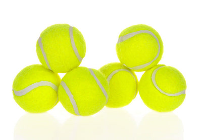 Dog Pet Automatic Interactive Ball Launcher null