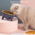 Cat Dog Bowl With Stand Pet Feeding Food Bowls Dogs Bunny Rabbit Nordic Color Feeder Product Supplies Pet Accessories null