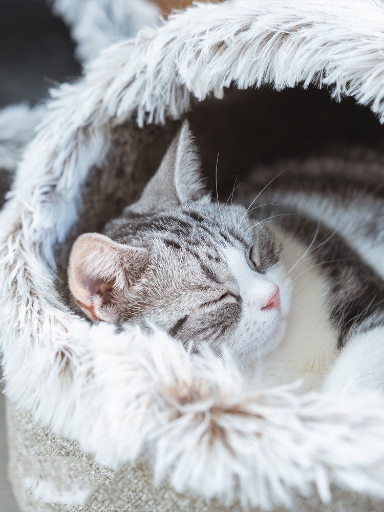 Polar Warm Cat Litter Closed Cat Sleeping Bag Large Winter Deep Sleep Cat Bed null