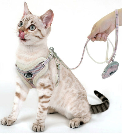 Puppy dog leash null