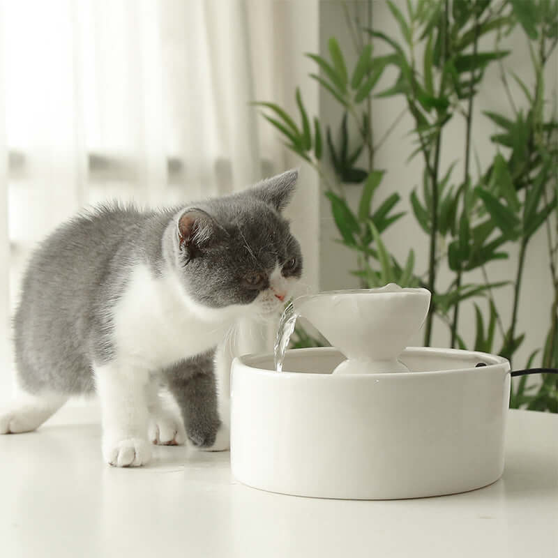 Smart Circulation Drinking Bowl Fountain Ceramic For Cats null
