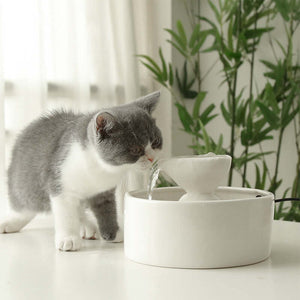 Smart Circulation Drinking Bowl Fountain Ceramic For Cats null