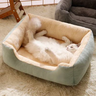 Bed For Cats Pet Products Warm Cushions Kitten Goods Accessories Dog All Beds And Furniture Things Accessory Habitats House Beds null