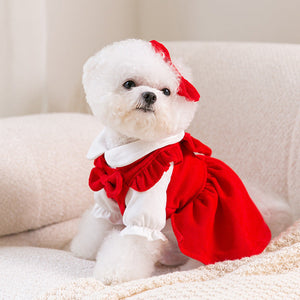 Puppy New Year Pet New Year Clothing null
