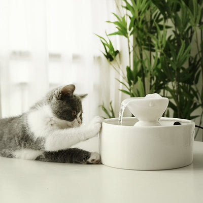 Smart Circulation Drinking Bowl Fountain Ceramic For Cats null