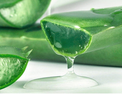Aloe Gel Skin Care Moisturizing Face Cream null