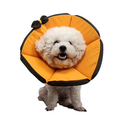 Pet Supplies Dog Sick Care Collar null