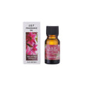 Aromatherapy essential oil humidifier null
