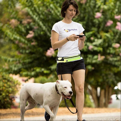 Hands Free Dog Leash Pet Walking And Training Belt With Shock Absorbing Bungee Leash For Up To 180lbs Large Dogs Phone Pocket And Water Bottle Holder null