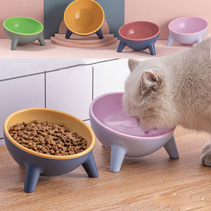 Cat Dog Bowl With Stand Pet Feeding Food Bowls Dogs Bunny Rabbit Nordic Color Feeder Product Supplies Pet Accessories null
