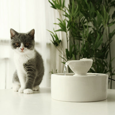 Smart Circulation Drinking Bowl Fountain Ceramic For Cats null
