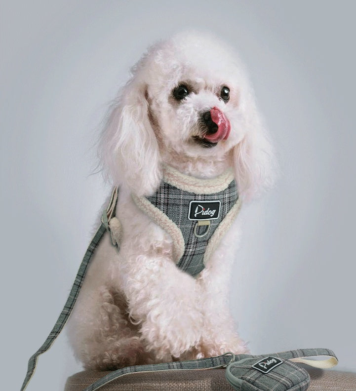 Puppy dog leash null