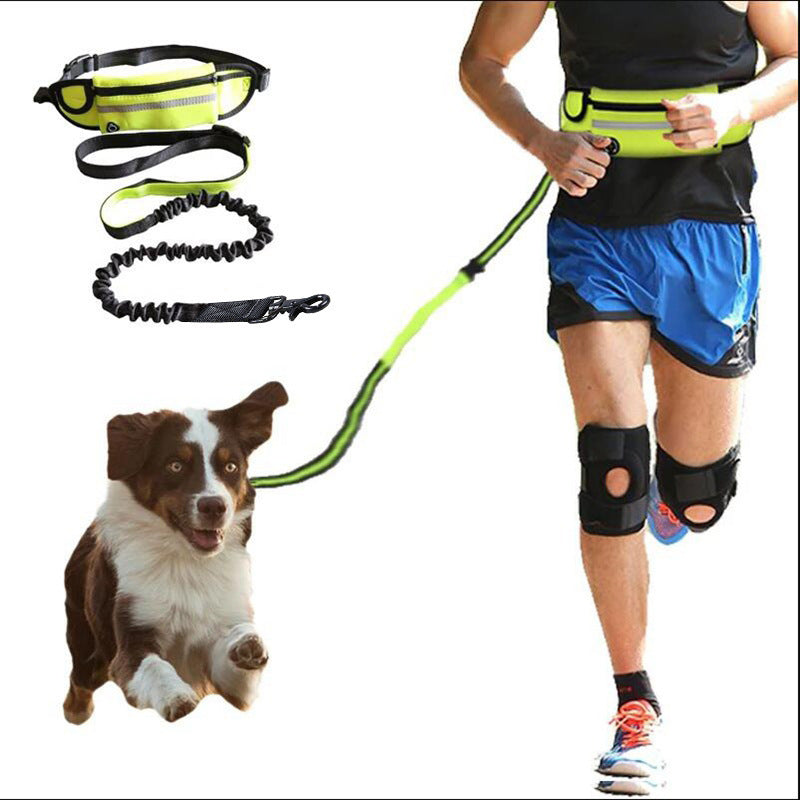 Hands Free Dog Leash Pet Walking And Training Belt With Shock Absorbing Bungee Leash For Up To 180lbs Large Dogs Phone Pocket And Water Bottle Holder null