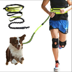 Hands Free Dog Leash Pet Walking And Training Belt With Shock Absorbing Bungee Leash For Up To 180lbs Large Dogs Phone Pocket And Water Bottle Holder null