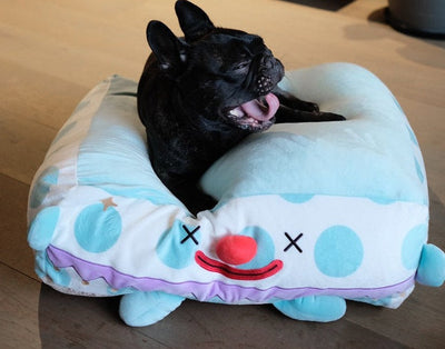 Clown Pet Sleeps In A Cozy Pet Bed null