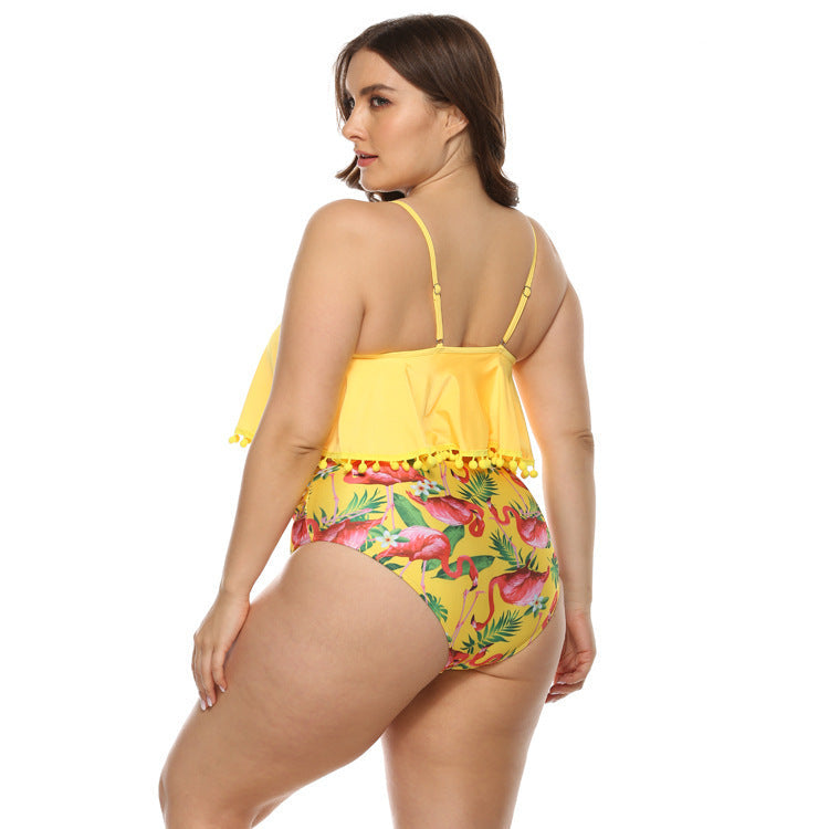 Fat woman bikini null