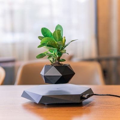 Floating Magnetic Levitating Flower Pot Bonsai Air Plant Pot Planter Potted For Home Office Desk Decor Creative Gift null