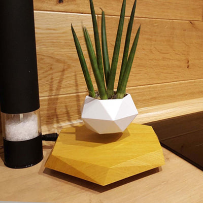 Floating Magnetic Levitating Flower Pot Bonsai Air Plant Pot Planter Potted For Home Office Desk Decor Creative Gift null