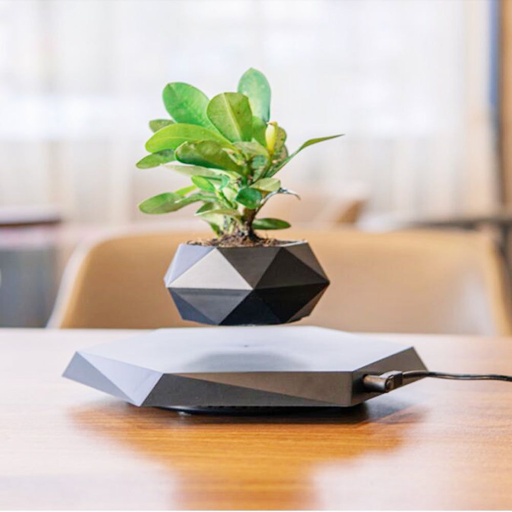 Floating Magnetic Levitating Flower Pot Bonsai Air Plant Pot Planter Potted For Home Office Desk Decor Creative Gift null