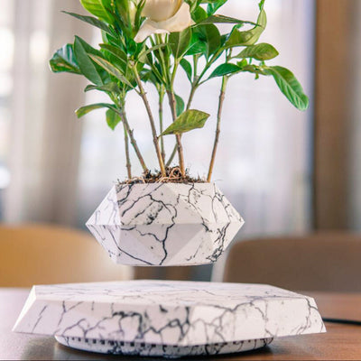 Floating Magnetic Levitating Flower Pot Bonsai Air Plant Pot Planter Potted For Home Office Desk Decor Creative Gift null