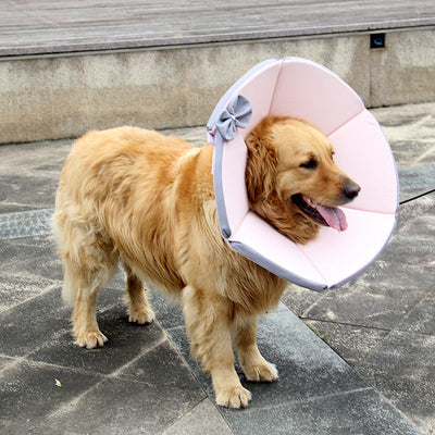 Pet Supplies Dog Sick Care Collar null