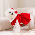 Puppy New Year Pet New Year Clothing null