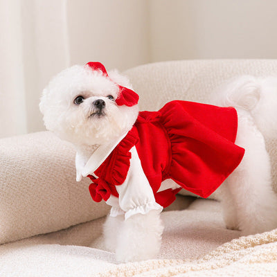 Puppy New Year Pet New Year Clothing null