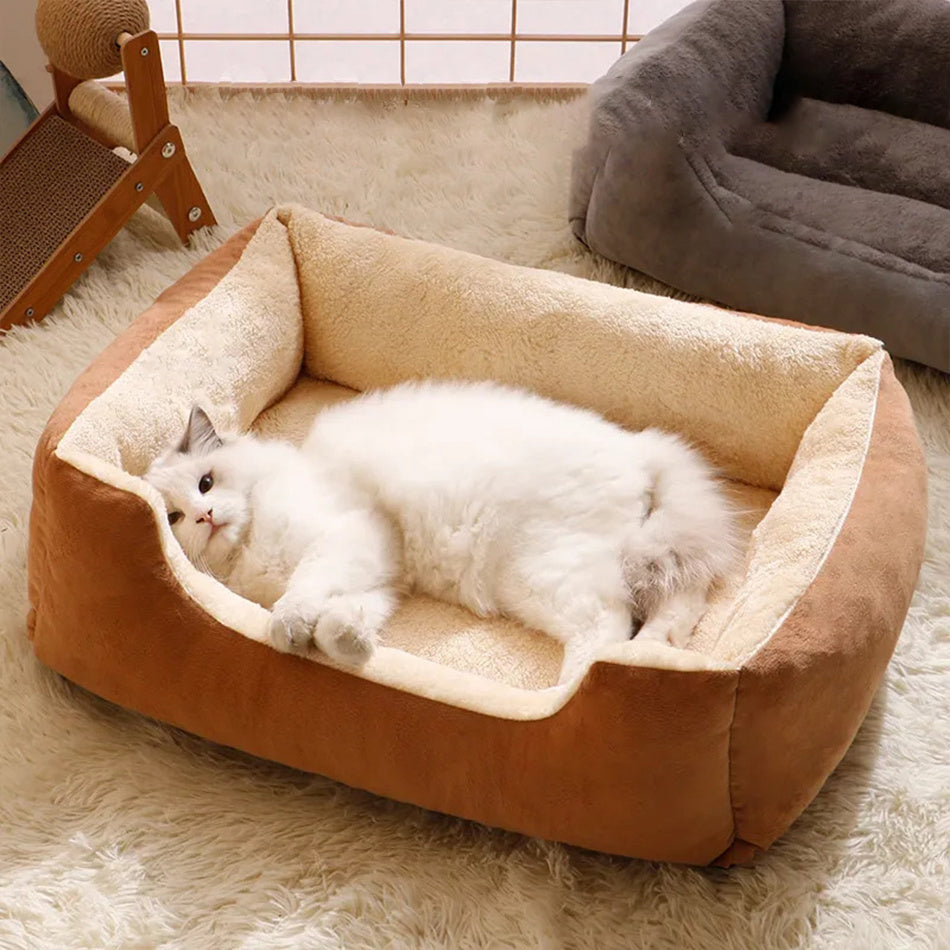 Bed For Cats Pet Products Warm Cushions Kitten Goods Accessories Dog All Beds And Furniture Things Accessory Habitats House Beds null